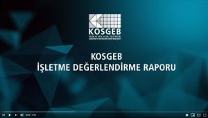 KOSGEB İşletme Değerlendirme Raporu