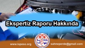 Ekspertiz Raporu Hakkında