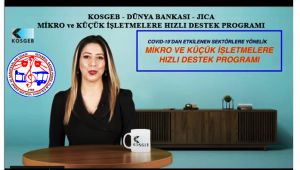 KOSGEB - DÜNYA BANKASI - JICA MİKRO ve KÜÇÜK İŞLETMELERE HIZLI DESTEK PROGRAMI