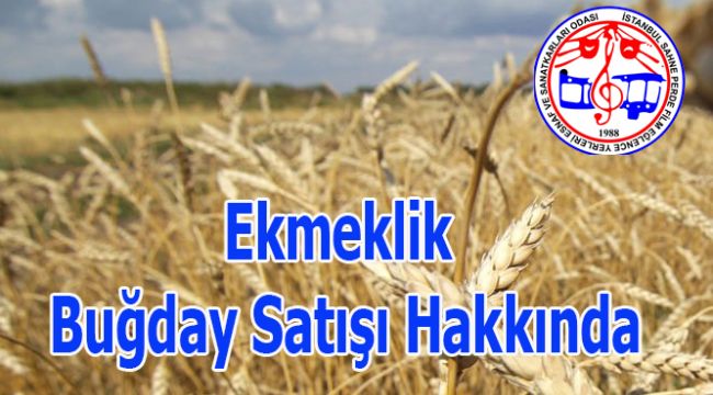 Ekmeklik Buğday Satışı Hakkında