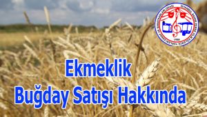 Ekmeklik Buğday Satışı Hakkında