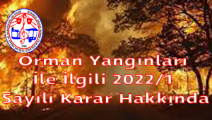 Orman Yangınları İle İlgili 2022/1 Sayılı Karar Hakkında